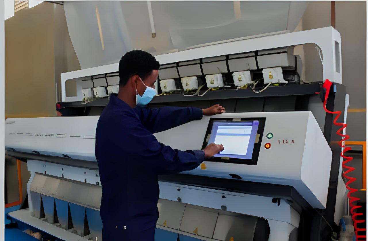 kdkinternational PLC coffee